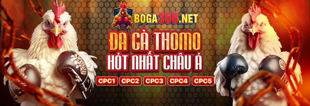 Đá Gà Trực Tuyến vf555.